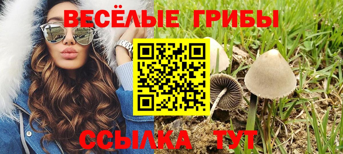 Железногорск  Галлюциногенные грибы Psilocybine cubensis  Галлюциногенные грибы мицелий  Вход с VPN 