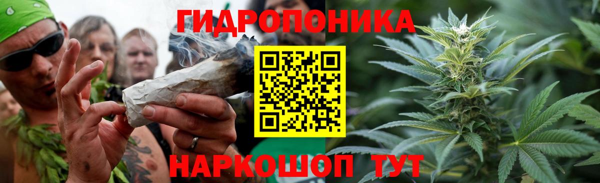 Бошки Шишки AK-47  МАРИХУАНА семена  Вход с VPN  Железногорск  Каннабис гибрид 